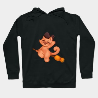 cute little kitten whitch Hoodie